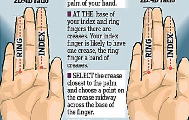 Esto es lo que la longitud de los dedos revela sobre la personalidad humana
