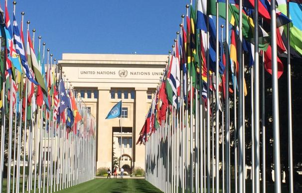 La ONU solo ha recibido el 43% de los 22.000 millones de dólares que pidió para 2016