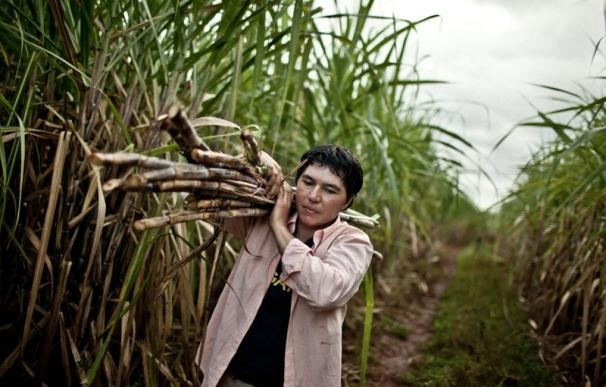 Las mujeres rurales representan casi la mitad de la mano de obra en el campo pero son más vulnerables, según la ONU