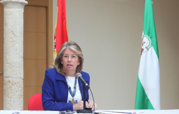 Muñoz anuncia que elevará a la Justicia más documentos sobre las supuestas falsedades en la tramitación del PGOU
