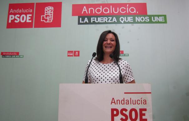 Crespín (PSOE) destaca que la dimisión de Sánchez responde a "una opinión mayoritaria"