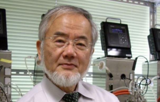 Yoshinori Ohsumi, galardonado con el Nobel de Medicina 2016