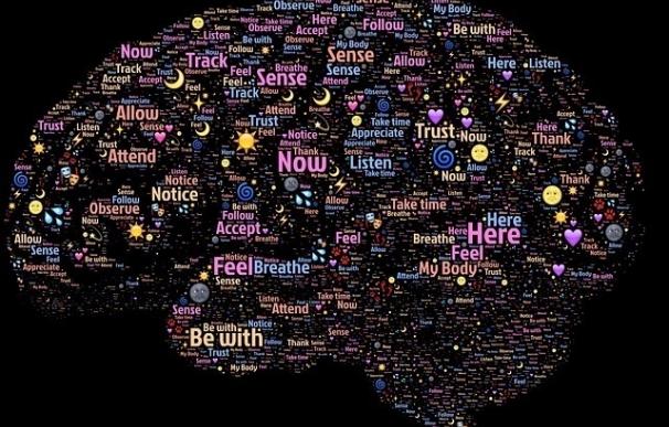 Neurocientíficos hallan una especie de lengua franca de los sentidos