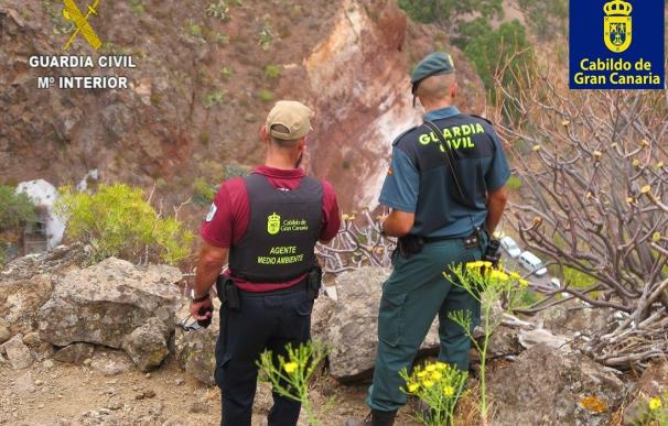 Detectados once cazadores furtivos en los parajes de Los Guaniles, Guayadeque y Temisas (Gran Canaria)