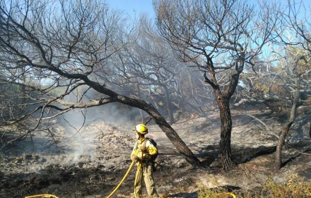 Extinguido el incendio en Muro, tras quemar 0,05 hectáreas