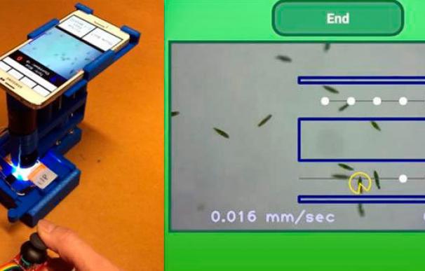 Crean un microscopio para smartphones que permite jugar con microbios