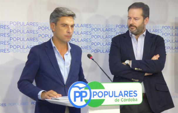Lorite (PP) reprueba la actitud del presidente de la Diputación respecto a los fondos DUSI