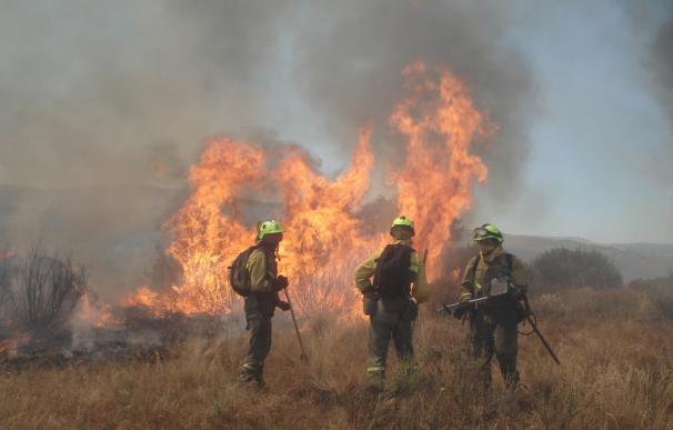 La región registró 240 incendios forestales de enero a septiembre, más del 80% conatos