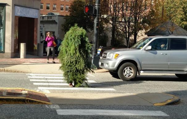 El hombre vestido de árbol que bloqueaba el tráfico en Portland