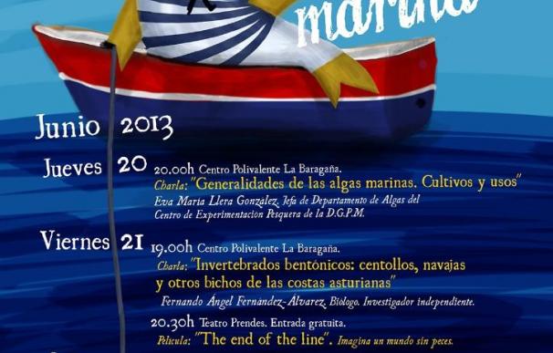 El Club de actividades subacuáticas El Delfín (Candás) organiza la octava edición de las Jornadas de Ecología Marina