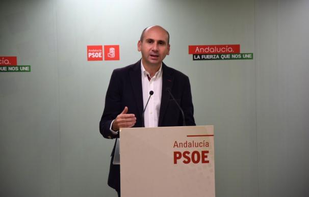 El PSOE-A pide a PP-A y Podemos que dejen la "pinza" y el "acoso y derribo" a la Junta y les invita a ser útiles