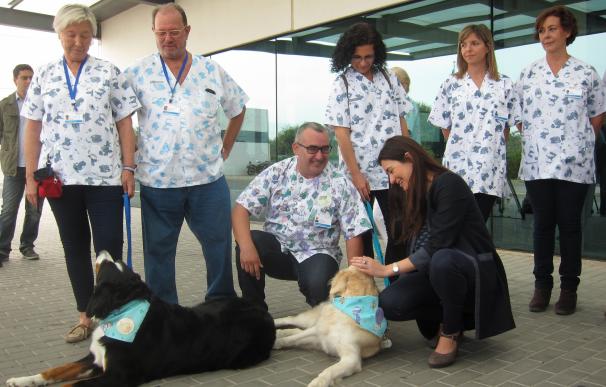 Trabajadores voluntarios de La Fe prestan sus perros a niños oncológicos para aliviar su hospitalización