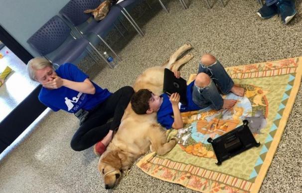La emoción de una madre al ver a su hijo con autismo con su primer amigo, un perro