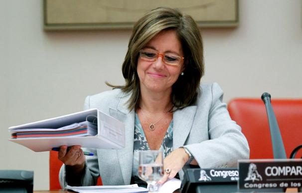 La directora general de la Agencia Tributaria, Beatriz Viana.