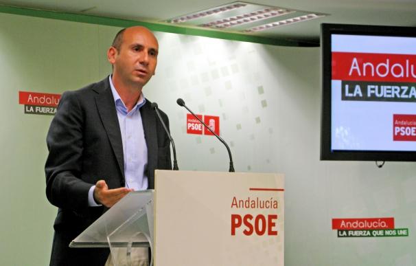 PSOE-A acusa a PP-A de "sobrepasar todos los límites" en su "desprecio" a las instituciones judiciales