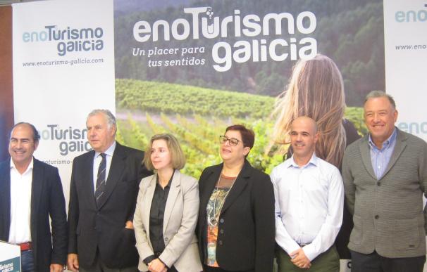 Nace la marca Enoturismo Galicia para la promoción conjunta de cuatro de las denominaciones de origen