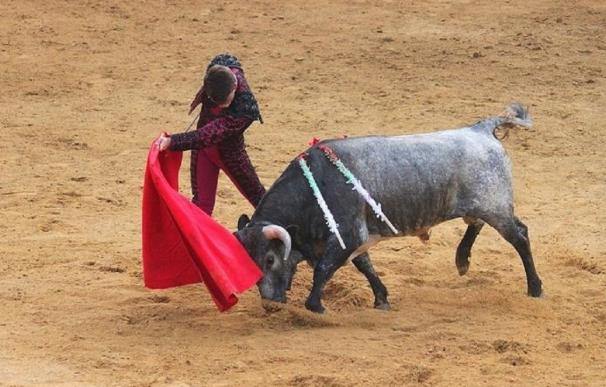 C's respeta el fallo del TC sobre los toros en Cataluña y pide un debate "sereno" sobre el trato a los animales
