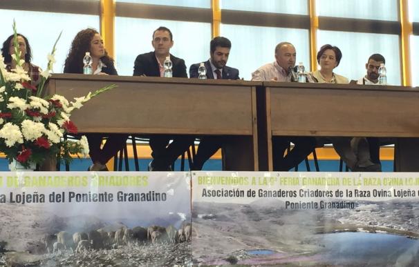 PP critica la "ausencia injustificable" del gobierno de Diputación en inauguración de feria de ganado de Loja
