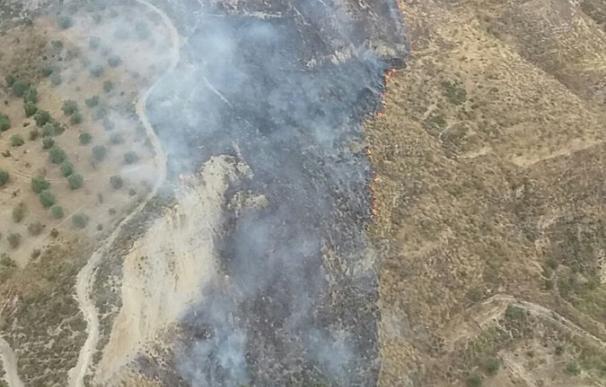 Declarado un incendio forestal en el paraje Puentes de la Duquesa en Pinos Genil
