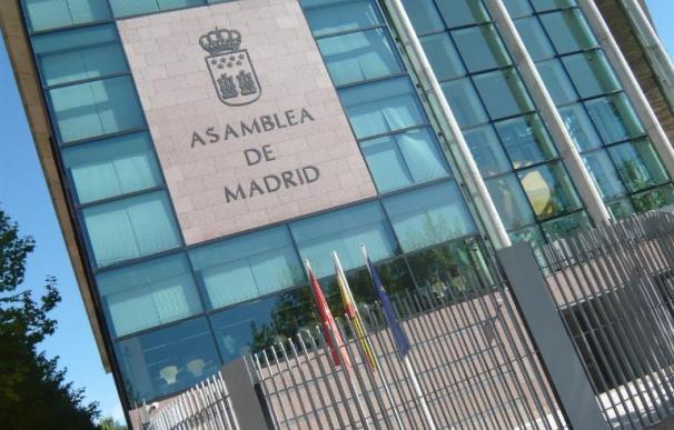 UPyD propondrá a la Asamblea que se manifieste la "falta de idoneidad" de que Madrid se presente