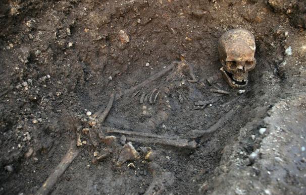 El análisis de ADN confirma el hallazgo de los restos de Ricardo III