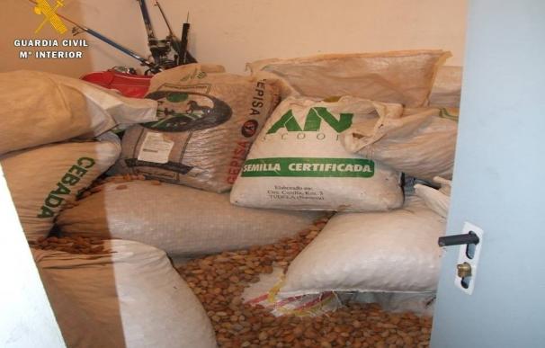 Detenido por el hurto de mil kilos de almendras en una finca de Aguilón