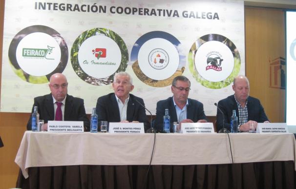 Cuatro cooperativas prevén su integración en un grupo lácteo de referencia que comience a operar en enero
