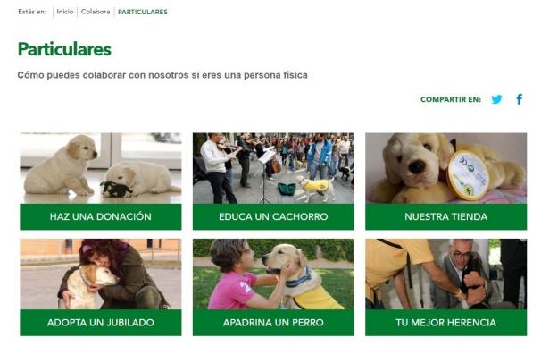 La Fundación ONCE del Perro Guía estrena una web para dar a conocer su historia y su trabajo