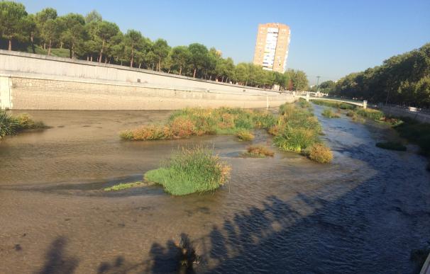 El PSOE tilda de "deficiente e incompleto" el nuevo contrato para la conservación del río Manzanares