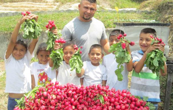 CESAL, COPADE y Fundación ETEA se unen para combatir la crisis alimentaria en Honduras