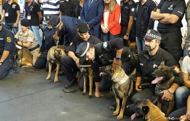 Más de 1.500 alumnos de la provincia asisten a la Exhibición de Unidades Caninas