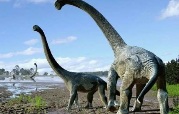 Dinosaurios gigantes cruzaron de América a Australia por la Antártida