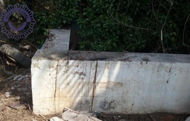 Imputados los dueños de varios perros encontrados muertos en una piscina abandonada en Castellón