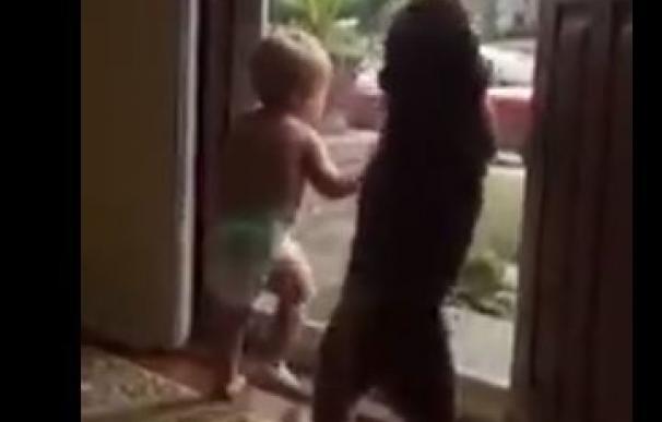 El video viral que muestra la reacción de un niño y un perro cuando el padre de familia llega a casa
