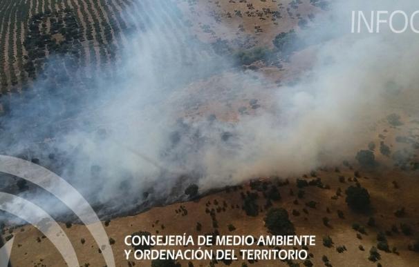 El Infoca cifra en diez hectáreas la superficie afectada por el incendio de Santisteban del Puerto