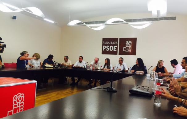 El PSOE arranca el nuevo curso político con la SE-40, la N-IV, la educación y el plan de pago a proveedores
