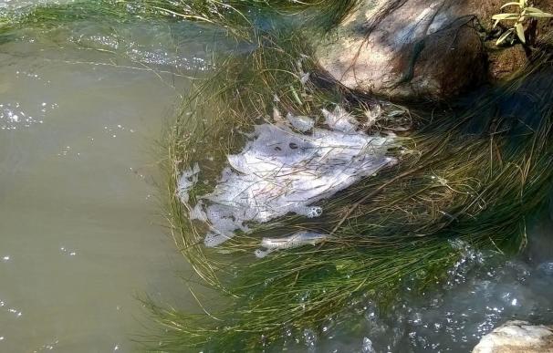 IU reclama a Olona que averigüe si ha habido posibles vertidos de contaminantes en el río Cinca