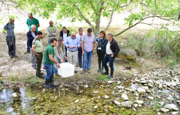 Sueltan 250 ejemplares de cangrejo autóctono de río en arroyos de Huéscar