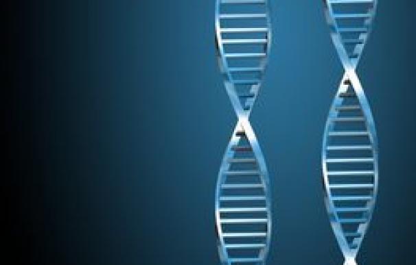 Un test genético al nacer podría predecir el éxito en la vida