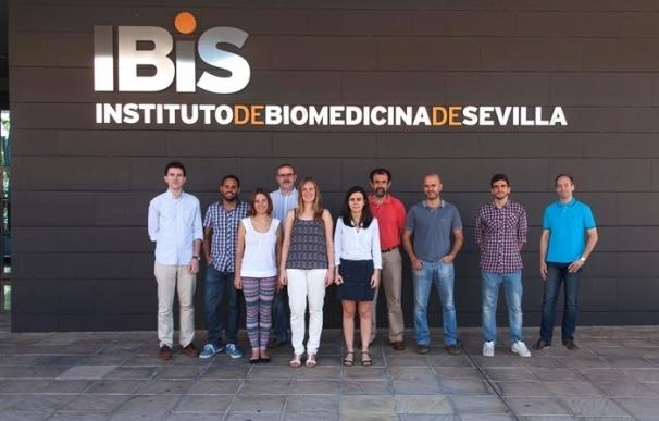 Grupo investigador del IBIS elegido copartícipe de un proyecto de la Asociación Española contra el Cáncer