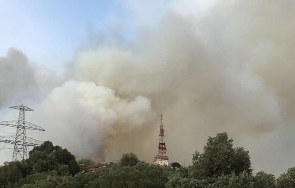 Estabilizado el incendio en la sierra de Collserola tras quemar entre cinco y ocho hectáreas