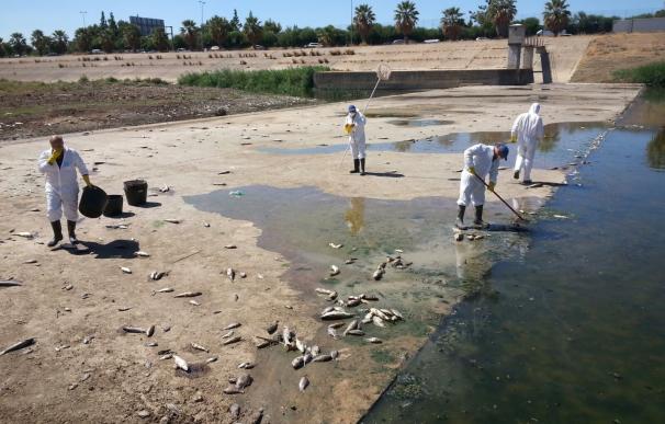 Un arrastre de contaminación se alza como causa más probable de la mortandad de peces en el Guadaíra