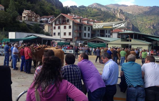 El XXV Certamen de Rebaños de Asturiana de los Valles, a partir de este lunes