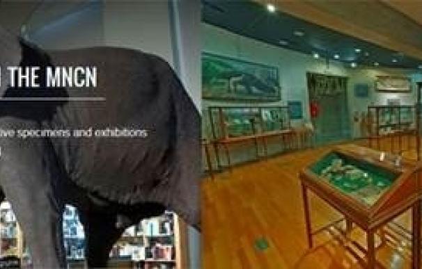 Más de 160 piezas del Museo Nacional de Ciencias Naturales se pueden disfrutar a través de Google Arts & Culture