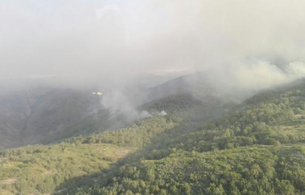 El fuego ha arrasado en agosto 35.268 hectáreas, más del 80% de toda las superficie quemada en 2016