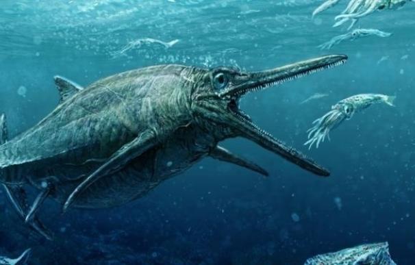 Escocia presenta el esqueleto fosilizado de un monstruoso deprededador del Jurásico