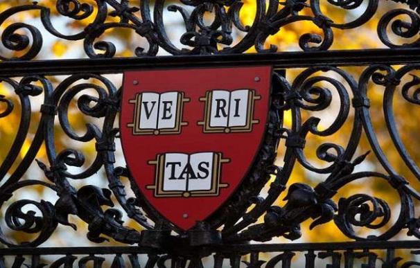 Los futuros líderes del mundo estudian en Harvard son tecnológicos y vírgenes