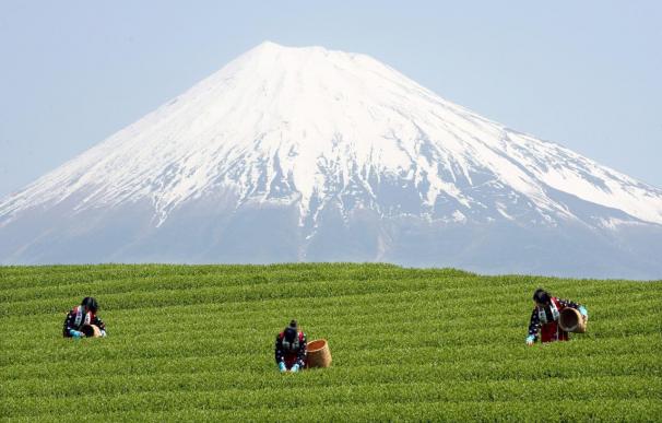 El volcán Fuji entra a formar parte del patrimonio de la humanidad