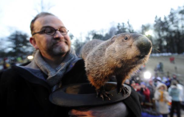 ¿Por qué se celebra ‘El día de la marmota’ si Phil casi nunca acierta?