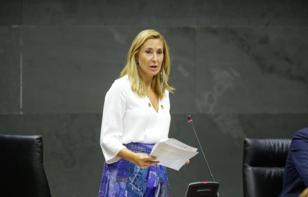 El Parlamento de Navarra rechaza la proposición de ley de autoridad del profesorado presentada por el PPN